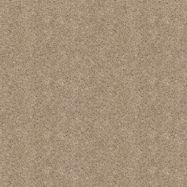 Champagne 39 Orion 50oz Invictus Carpet