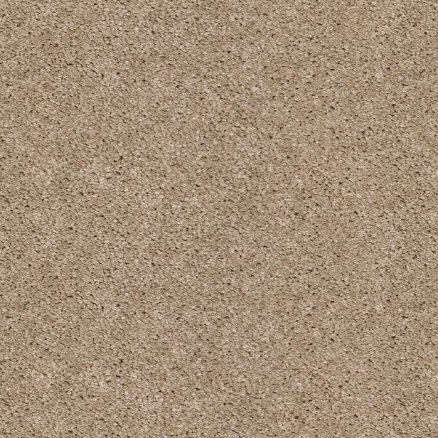 Champagne 39 Orion 50oz Invictus Carpet