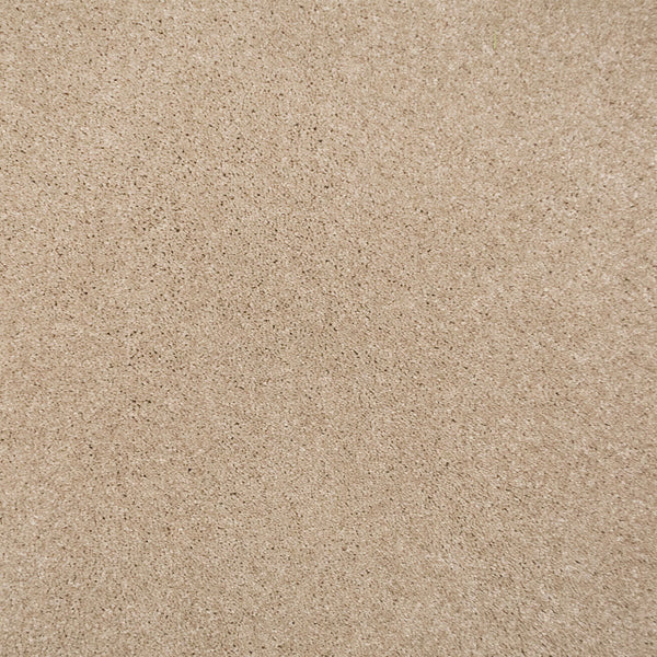 Champagne 39 Sirius 70oz Invictus Carpet