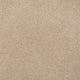 Champagne 39 Sirius 70oz Invictus Carpet