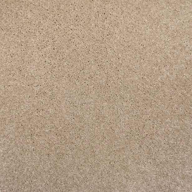 Champagne 39 Sirius 70oz Invictus Carpet