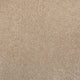 Champagne 39 Sirius 70oz Invictus Carpet