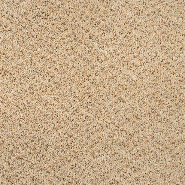 Champagne Highlife Stainfree Carpet
