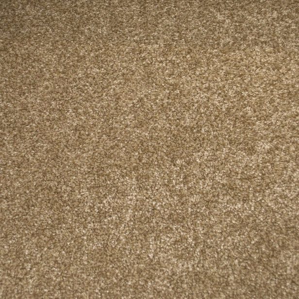 Champagne Stainfree Royale Carpet