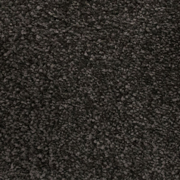Charcoal 97 Sirius 70oz Invictus Carpet