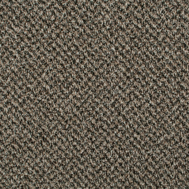Chateau 48 Stainaway Tweed Carpet
