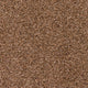 Chocolate 996 Easy Living Carpet
