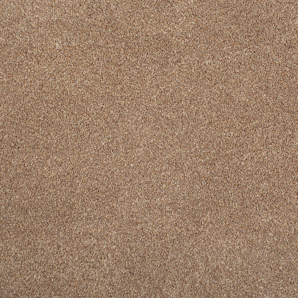 Chocolate StainFree Panache Carpet