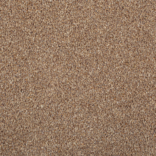 Chocolate StainFree Panache Carpet