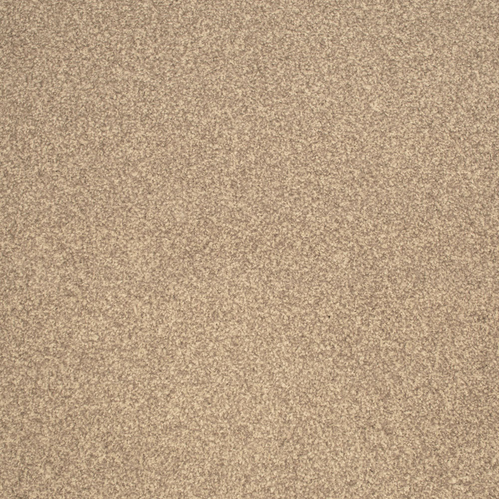Hessian Stainfree Classic Twist Carpet Buy Stainfree Classic Twist