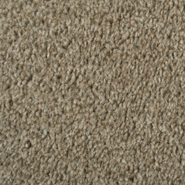 Coconut 995 Dublin Heathers Carpet