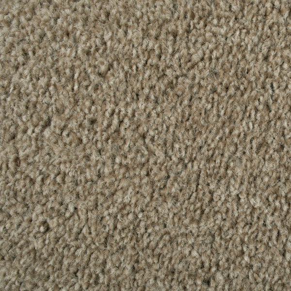 Coconut 995 Dublin Heathers Carpet