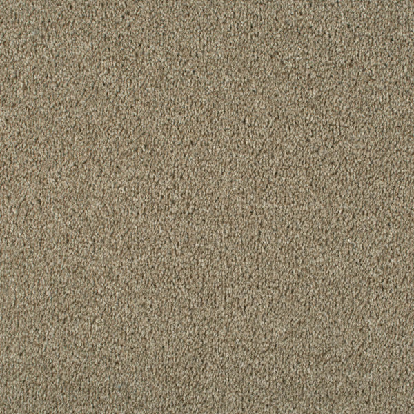 Coconut 995 Dublin Heathers Carpet