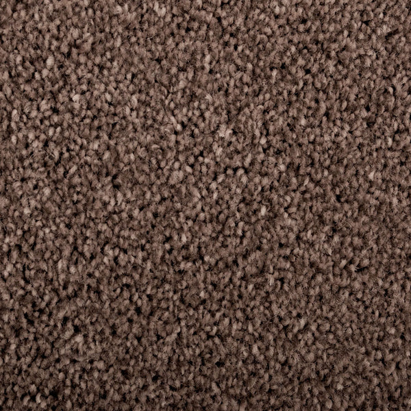 Coffee Tone 46 Distinction Supreme Carpet