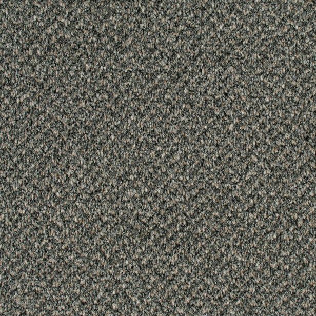 Concrete 94 Stainaway Tweed Carpet