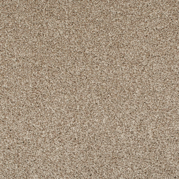 Cookie Dough 46 Temptation Carpet Buy Associated Weavers Carpets OnlineCarpets.co.uk