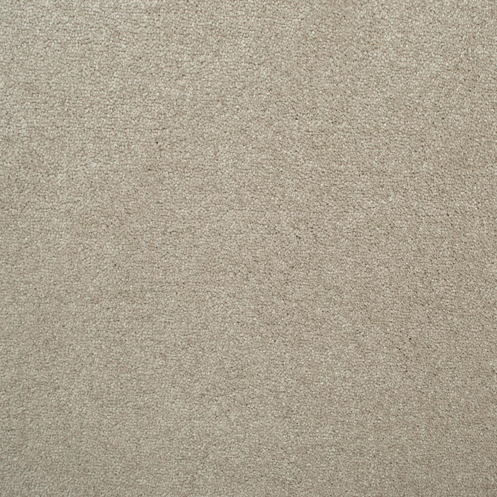 Magnificus Invictus Supreme Carpet by Associated Weavers