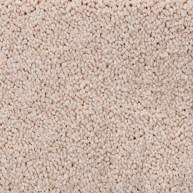 Grand National Carpet