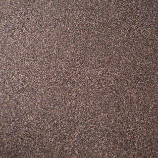 Stainfree Countess Carpet