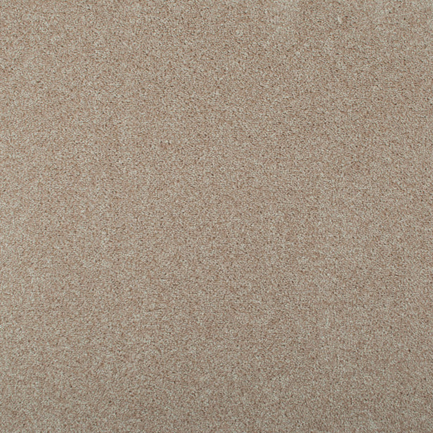Cream 670 Splendid Saxony Actionback Carpet Clearance