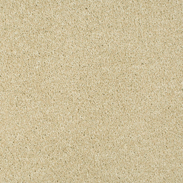 Cream Beige