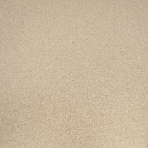 Cream Silk Apollo Plus Carpet