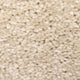 Crystal Dust 730 Timeless & Stripes Carpet