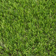 Daleside 40mm Artificial Grass 5m