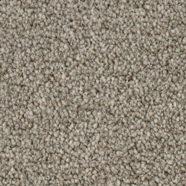 Highgate 09 Darius 50oz Heathers Invictus Carpet Clearance