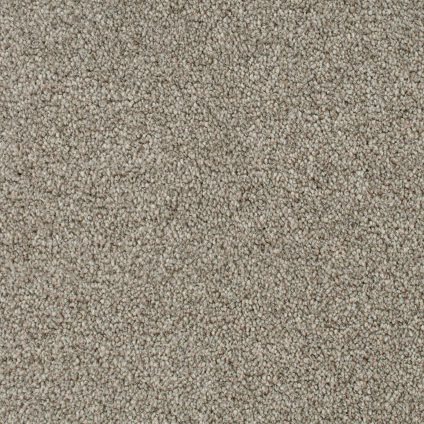 Highgate 09 Darius 50oz Heathers Invictus Carpet Clearance