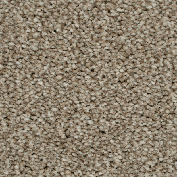 Soya 37 Darius 50oz Heathers Invictus Carpet Clearance