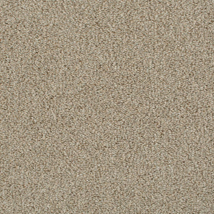 Wheat Straw 39 Darius 50oz Heathers Invictus Carpet