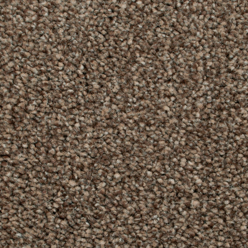 Nova 40 Darius 50oz Heathers Invictus Carpet 6.8m x 5m Remnant