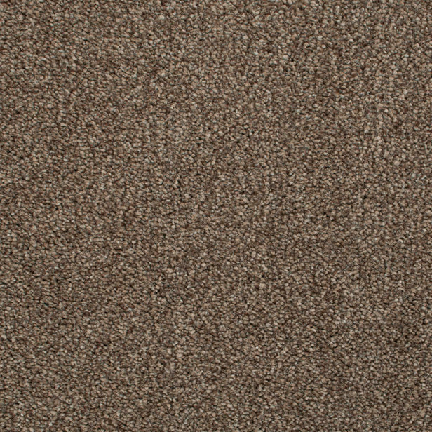 Nova 40 Darius 50oz Heathers Invictus Carpet Clearance