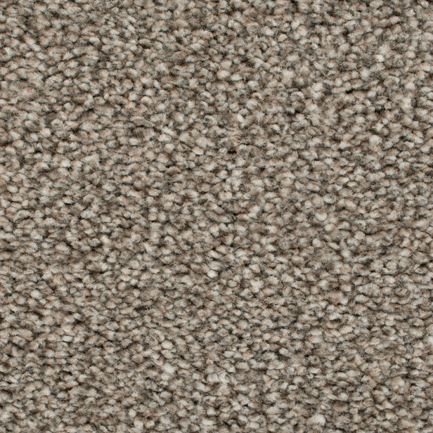 Linseed 41 Darius 50oz Heathers Invictus Carpet Clearance