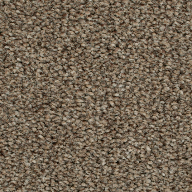 Stevia 42 Darius 50oz Heathers Invictus Carpet Clearance