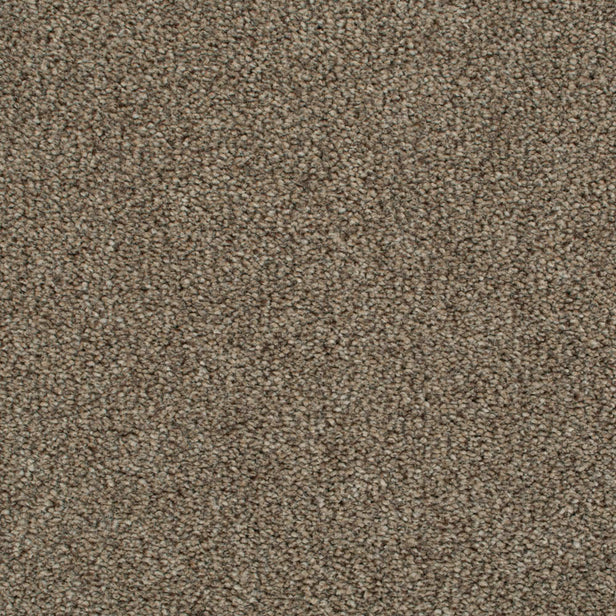 Stevia 42 Darius 50oz Heathers Invictus Carpet Clearance