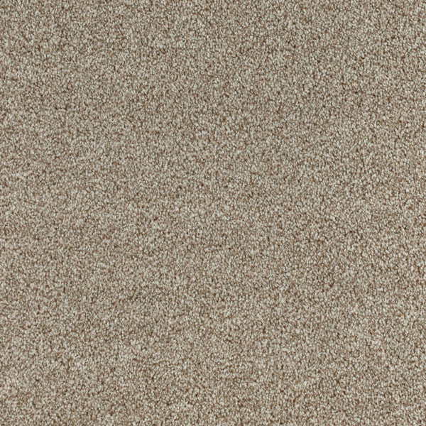 Dark Beige 69 Minelli Carpet