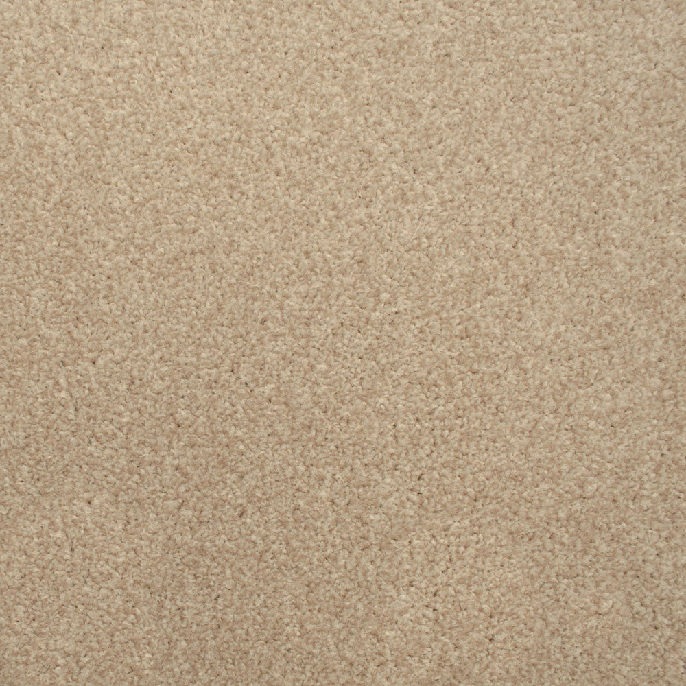 Mushroom Stainfree Decor Twist Carpet Buy Stainfree Decor Twist