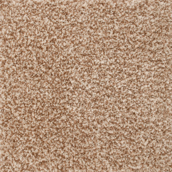 Desert Sand