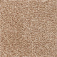 Desert Sand 33 Inspire Saxony Carpet