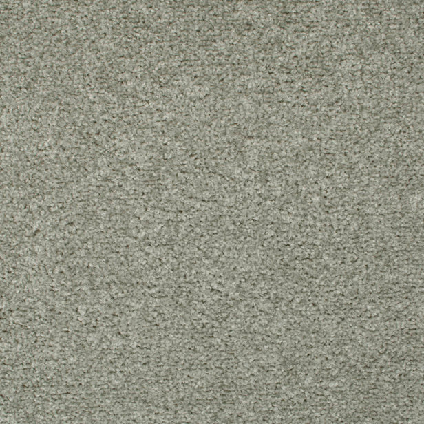 Dolphin 07 Tuftex Twist Actionback Carpet