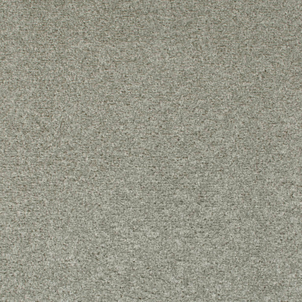 Dolphin 07 Tuftex Twist Actionback Carpet