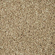 Dunmore Creek Sensation Heathers 60oz Carpet