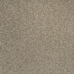Dusky Brown Missouri Saxony Carpet