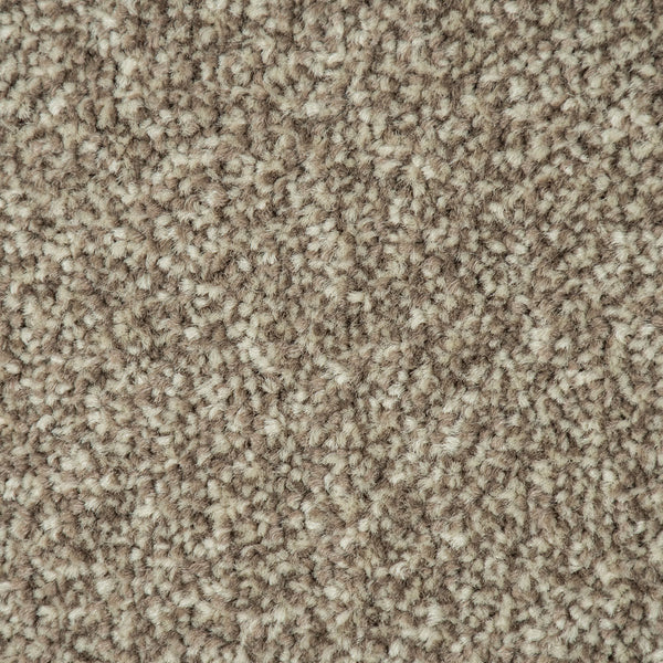 Dusky Brown Missouri Saxony Carpet