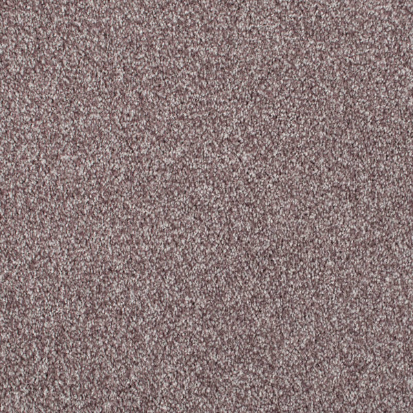 Dusky Plum