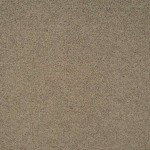 Earth Brown Illinois Loop Carpet