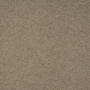 Earth Brown Illinois Loop Carpet