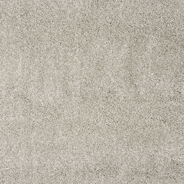 Egyptian Papyrus 94 Orion 50oz Invictus Carpet Buy Invictus Carpets